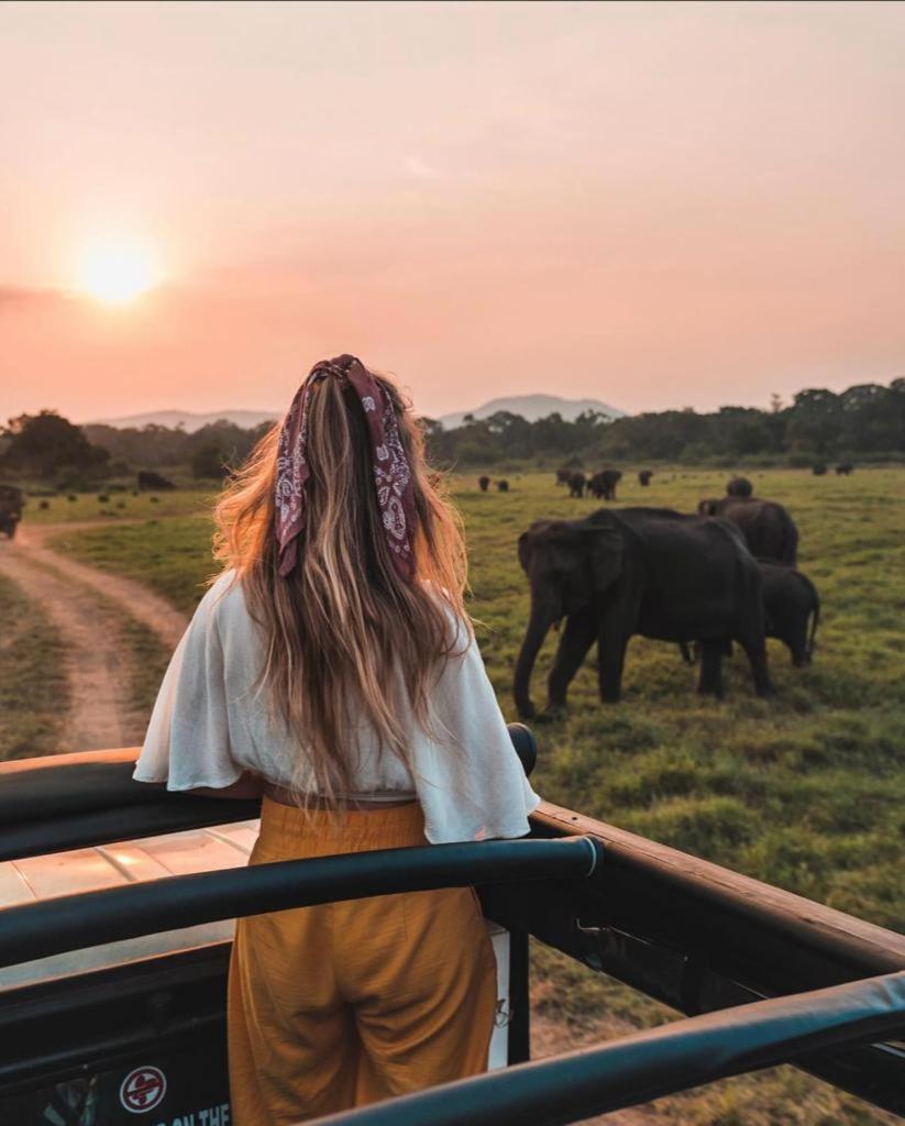 Minneriya Jeep Safari 하바라나 외부 사진